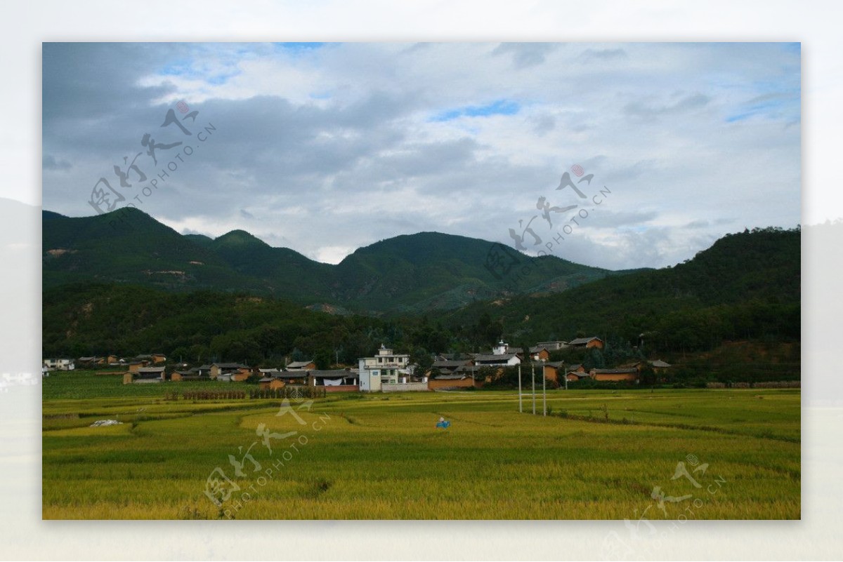 山下乡村稻田风景图片