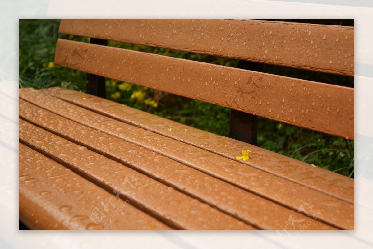 雨后公园座椅上的落花图片
