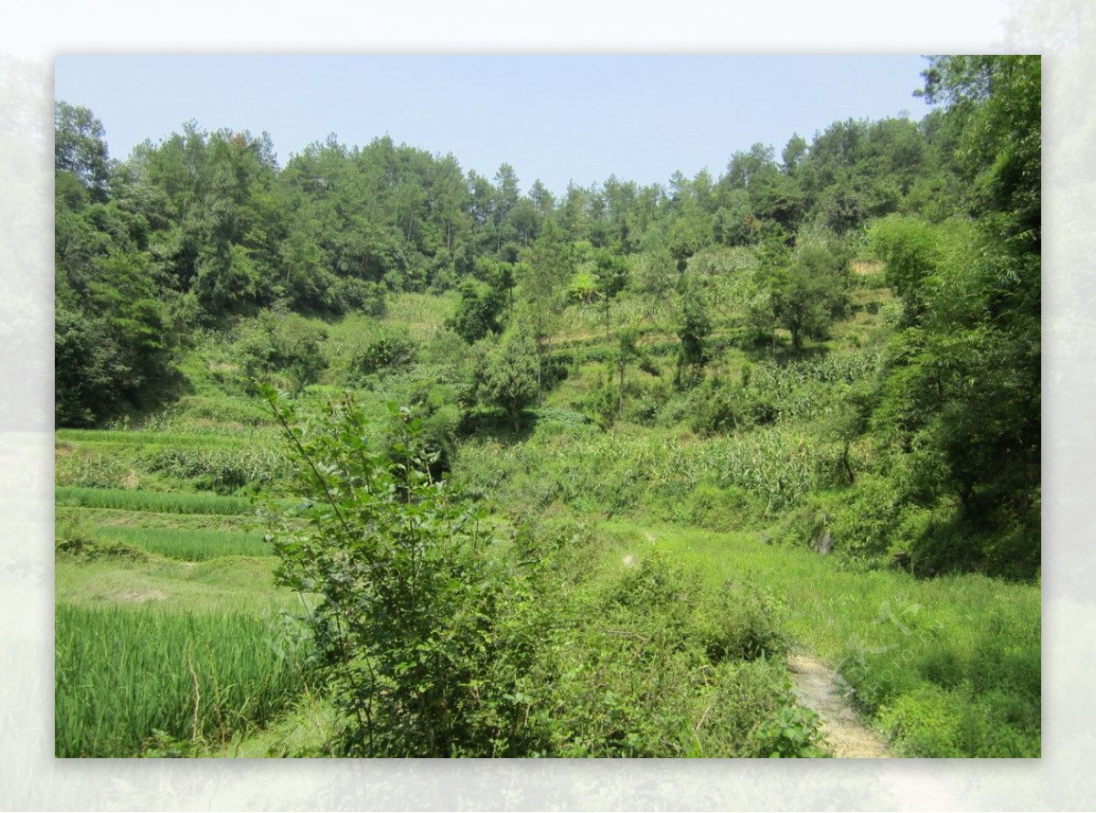 乡村田园风光图片