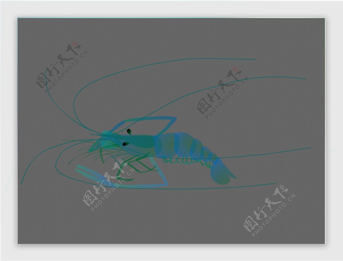 逼真的虾flash矢量动画