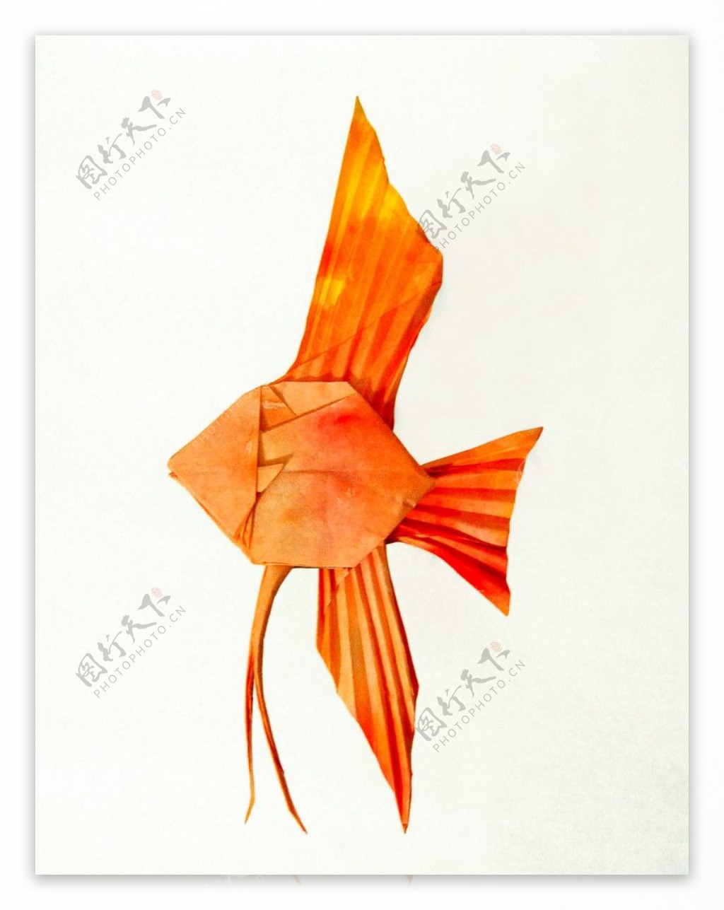 折纸神仙鱼图片