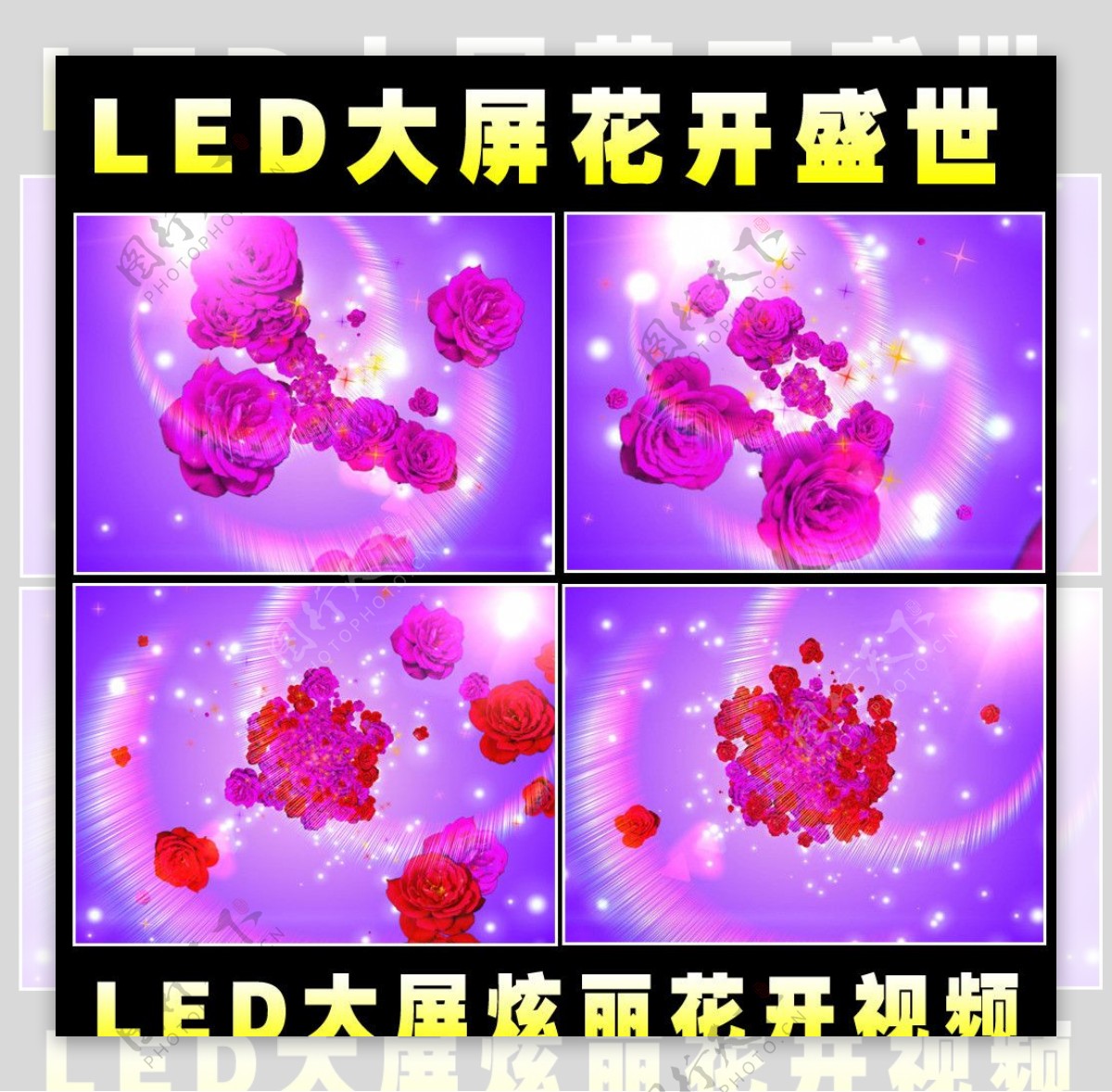 LED花朵视频