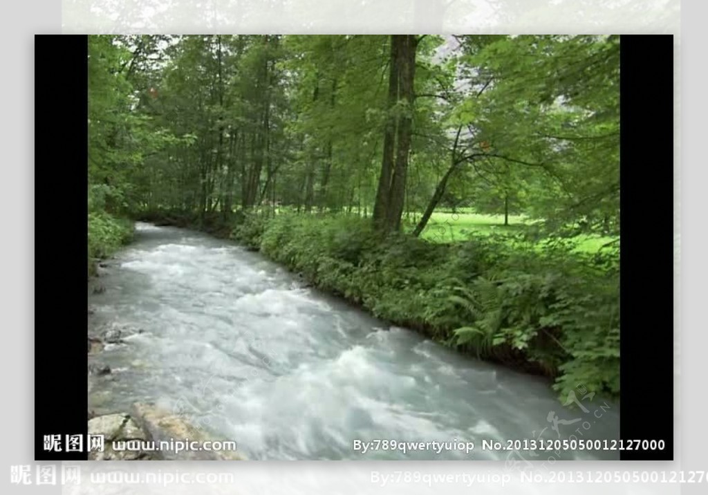 溪水背景视频素材