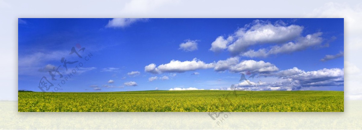 草地蓝天白云图片