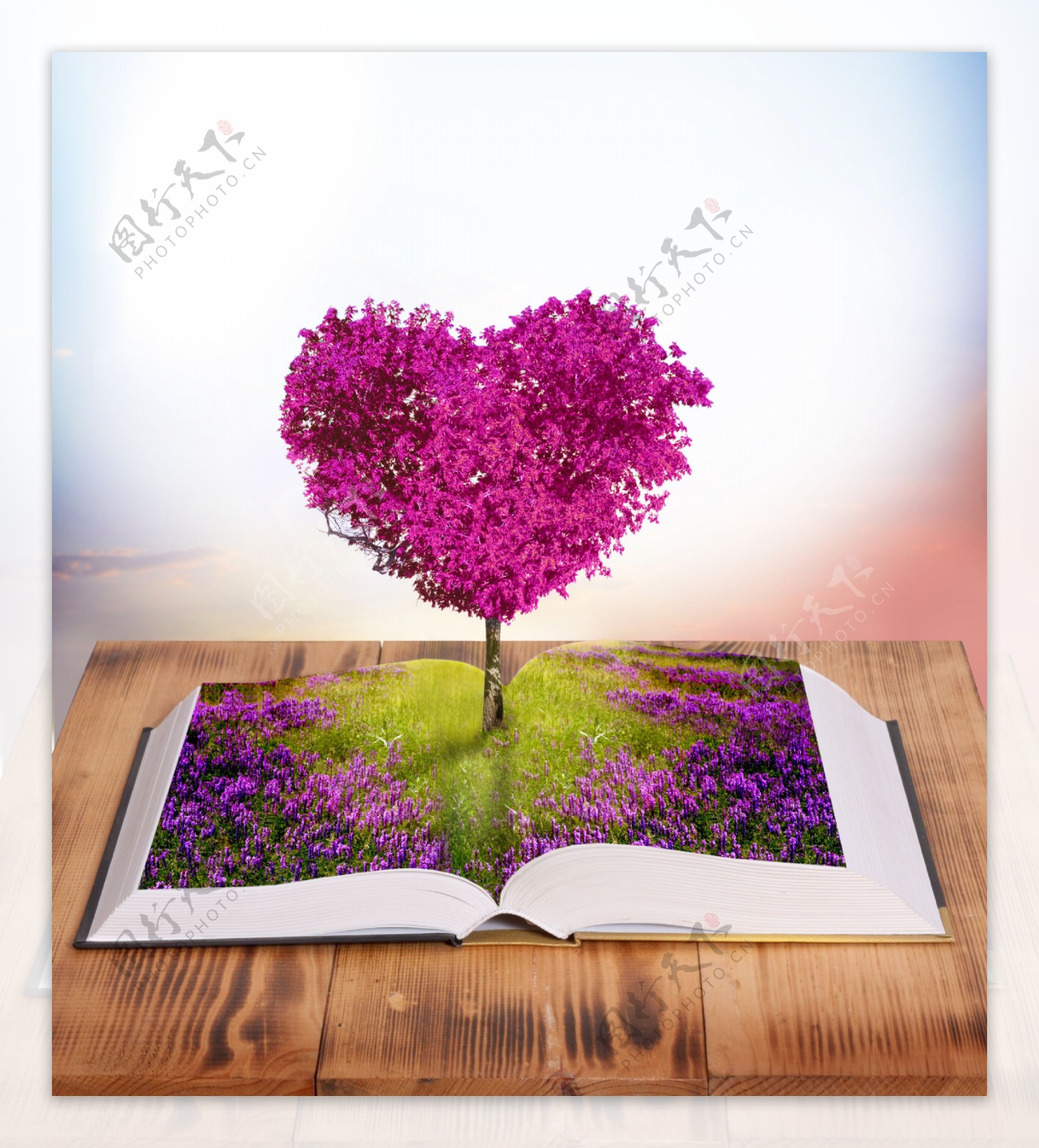 书本中的爱情树图片
