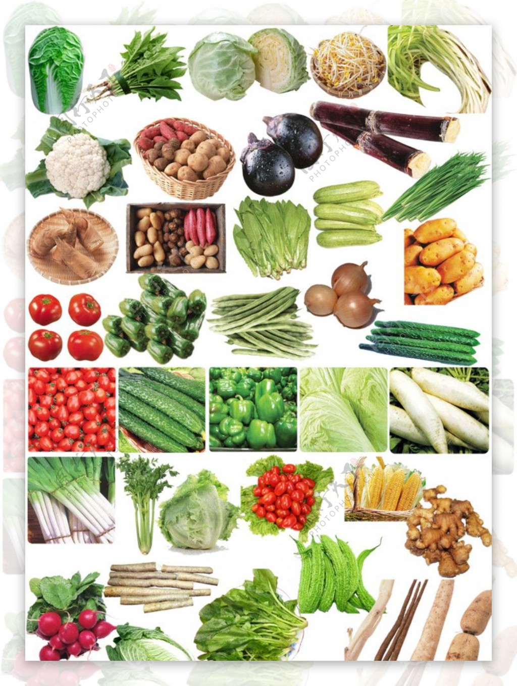 蔬菜分层图图片