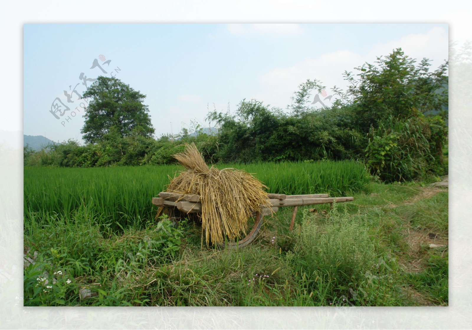 稻草和独轮车图片