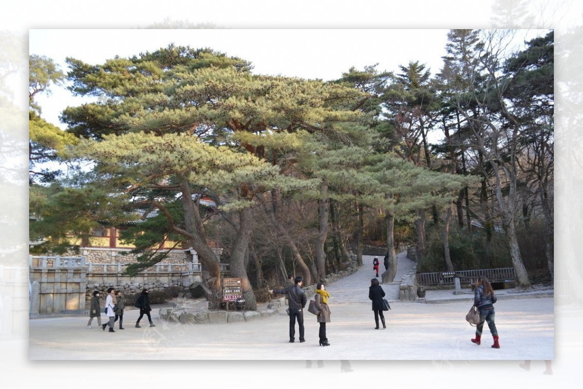 韩国佛国寺图片