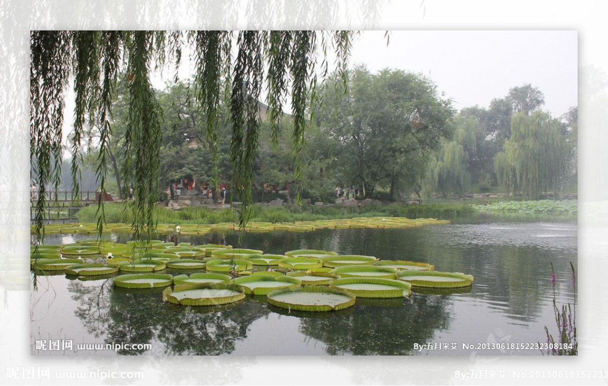 北京圆明园公园图片