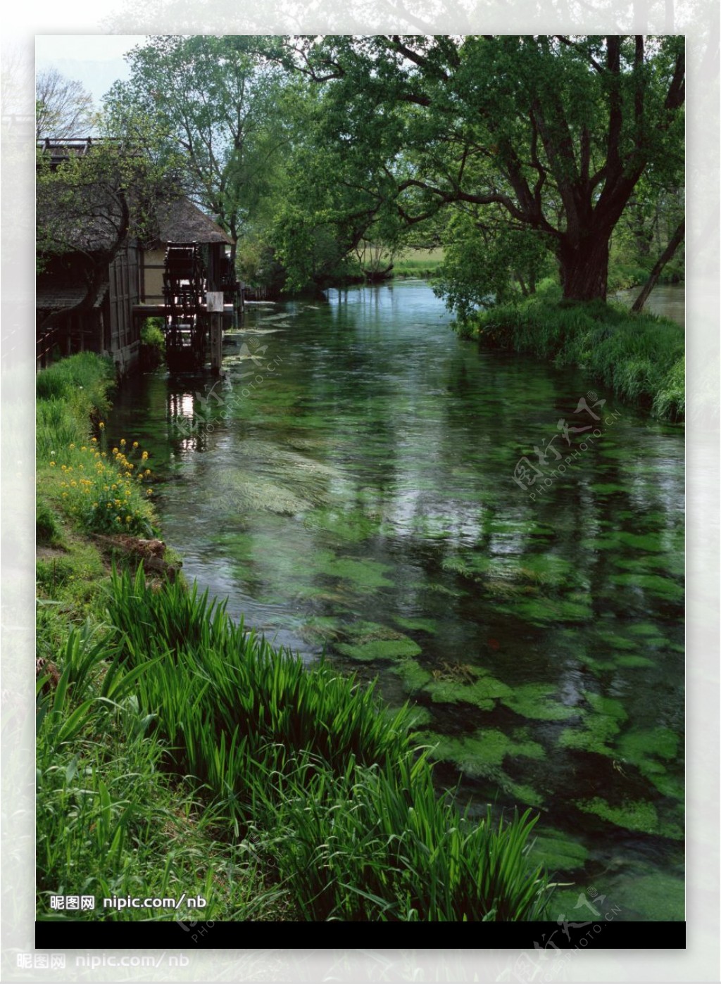 村庄河流图片