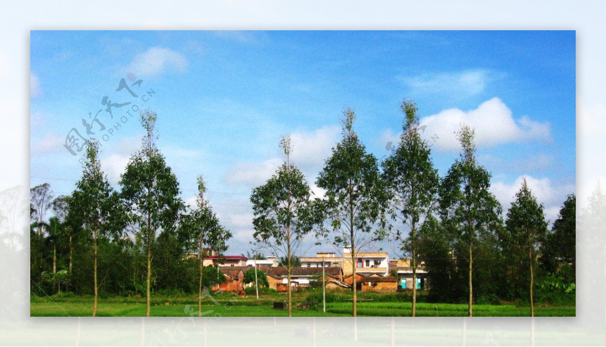 绿色环抱的村庄图片