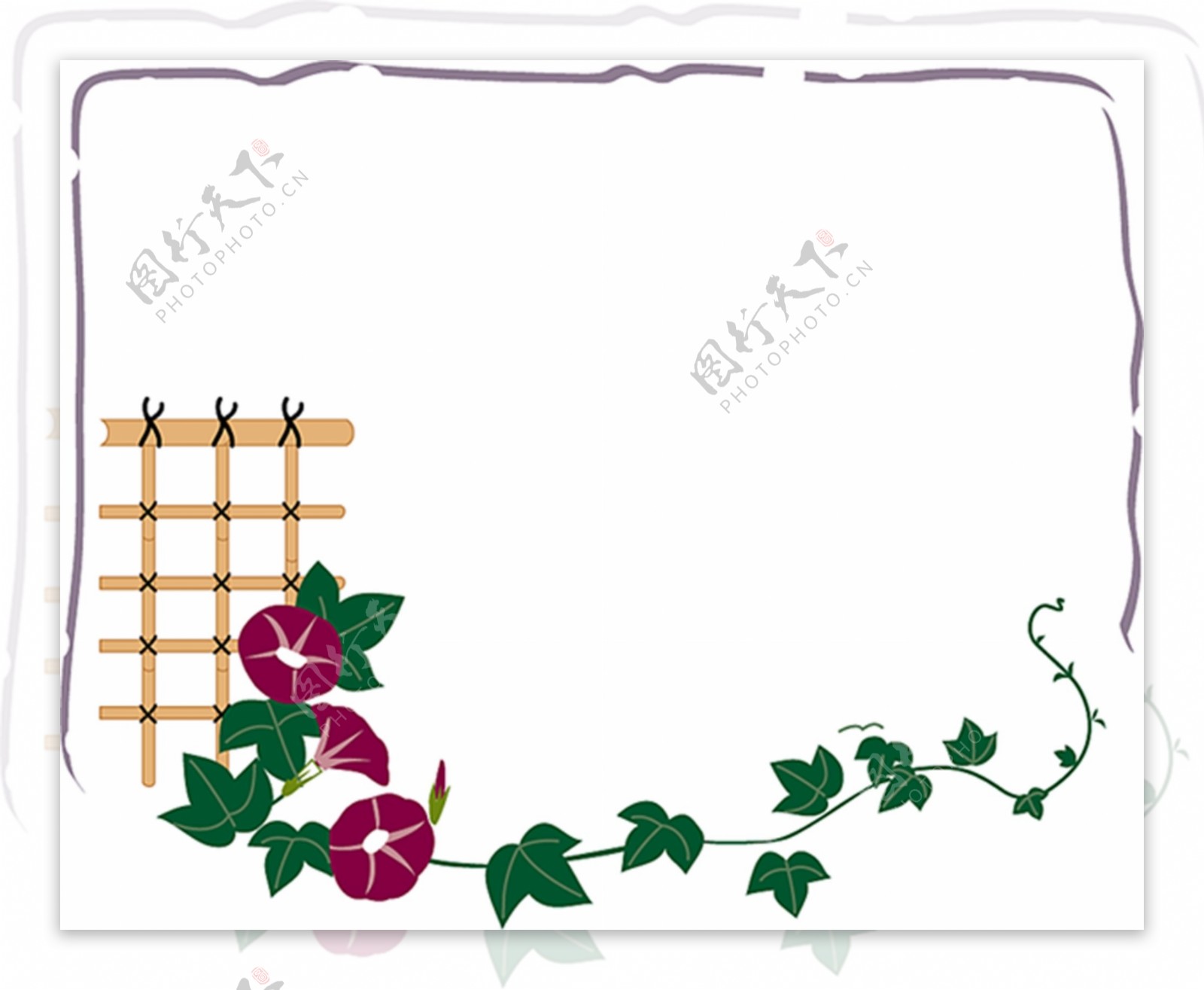 牵牛花边框图片