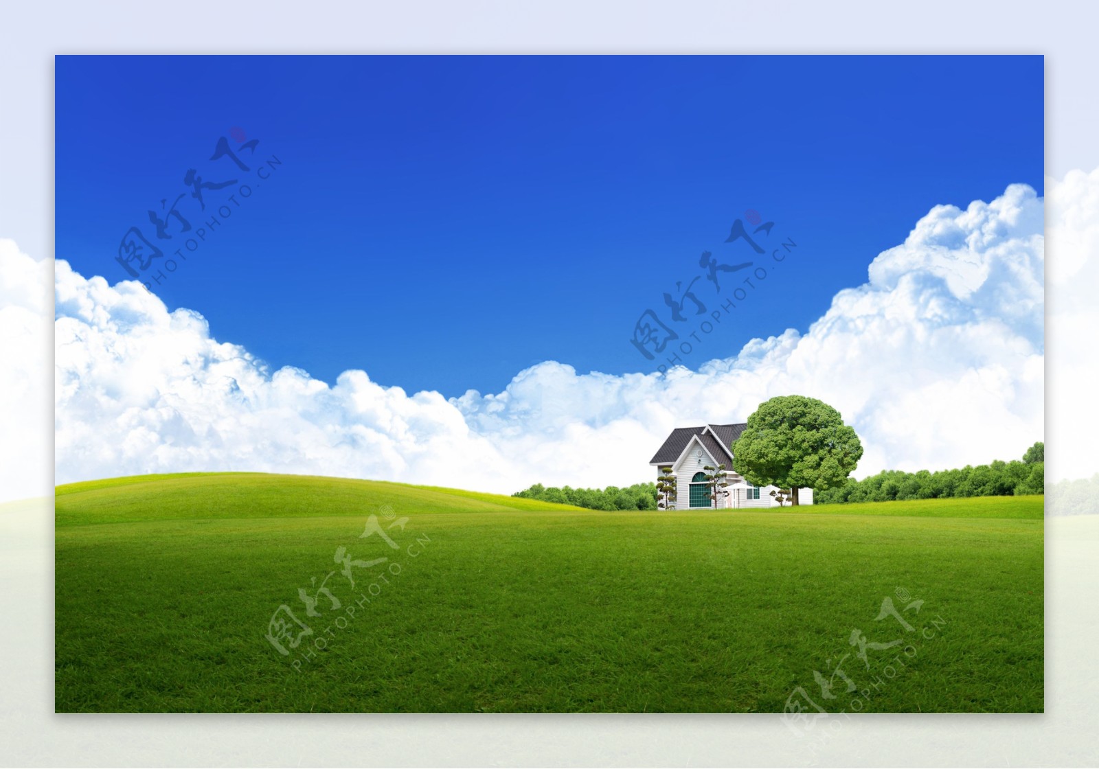 草地上的别墅图片