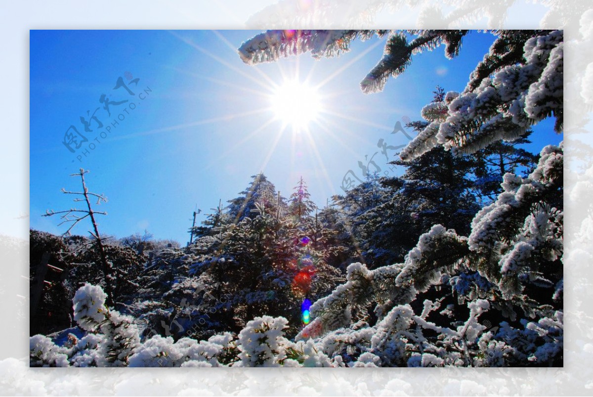 雪景图片