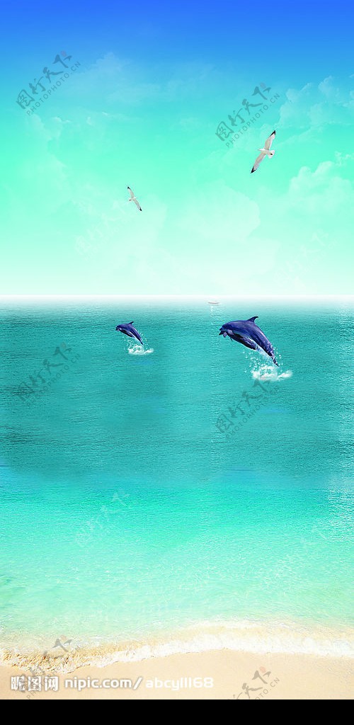 海豚大海图片