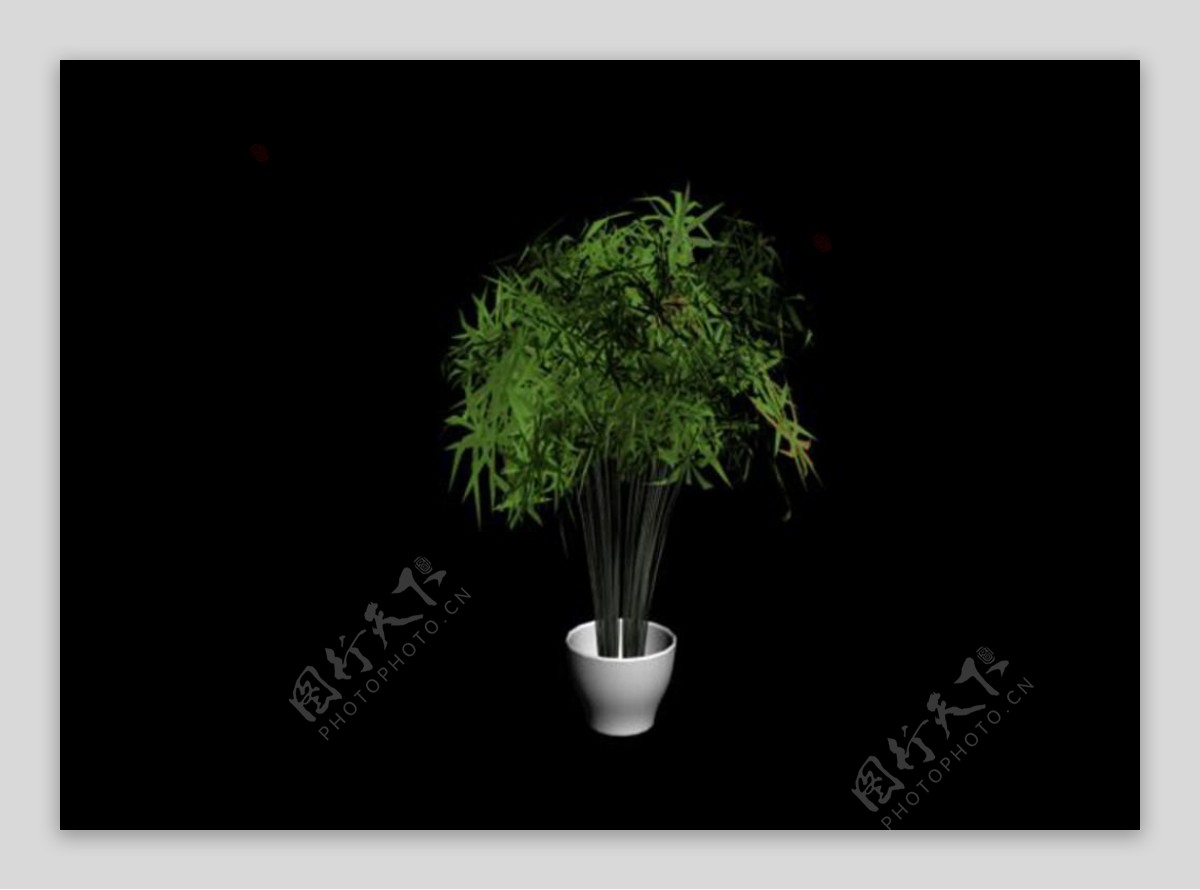 室内精品3d植物模型图片