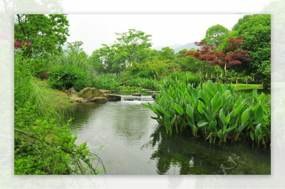 2009公园绿化金奖长桥溪公园图片