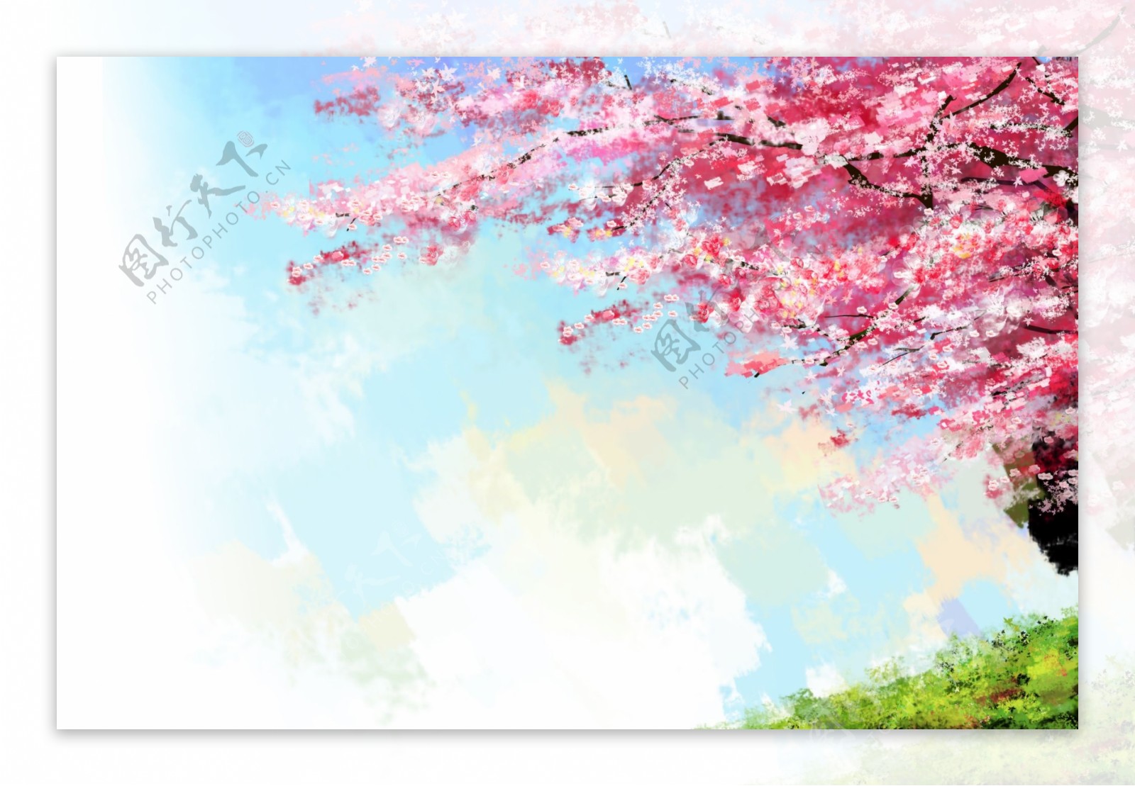 手绘樱花背景图片