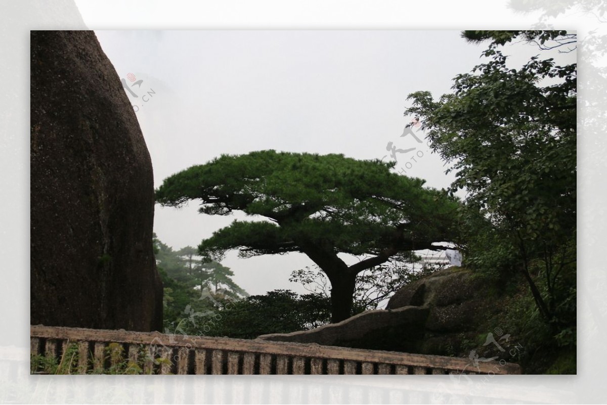 黄山风光图片