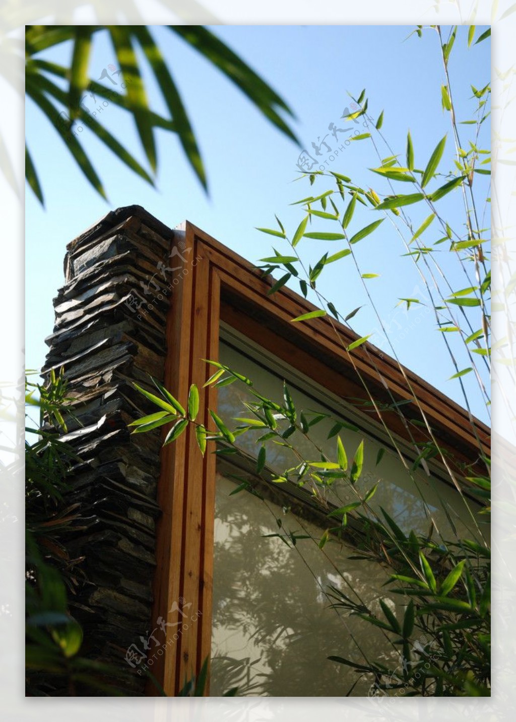 竹叶建筑图片