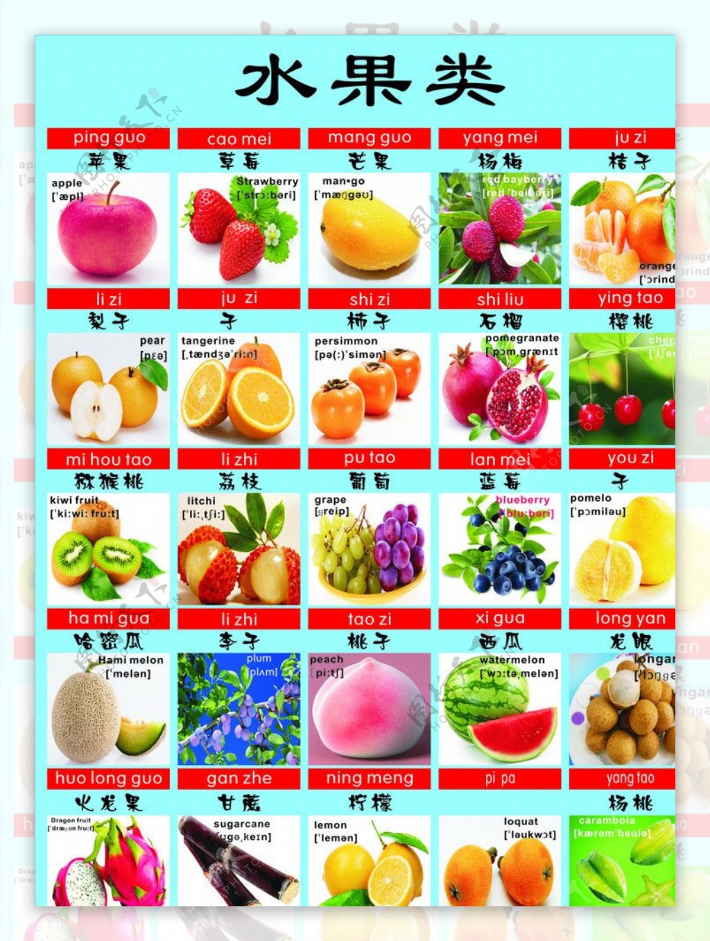 水果教育图图片