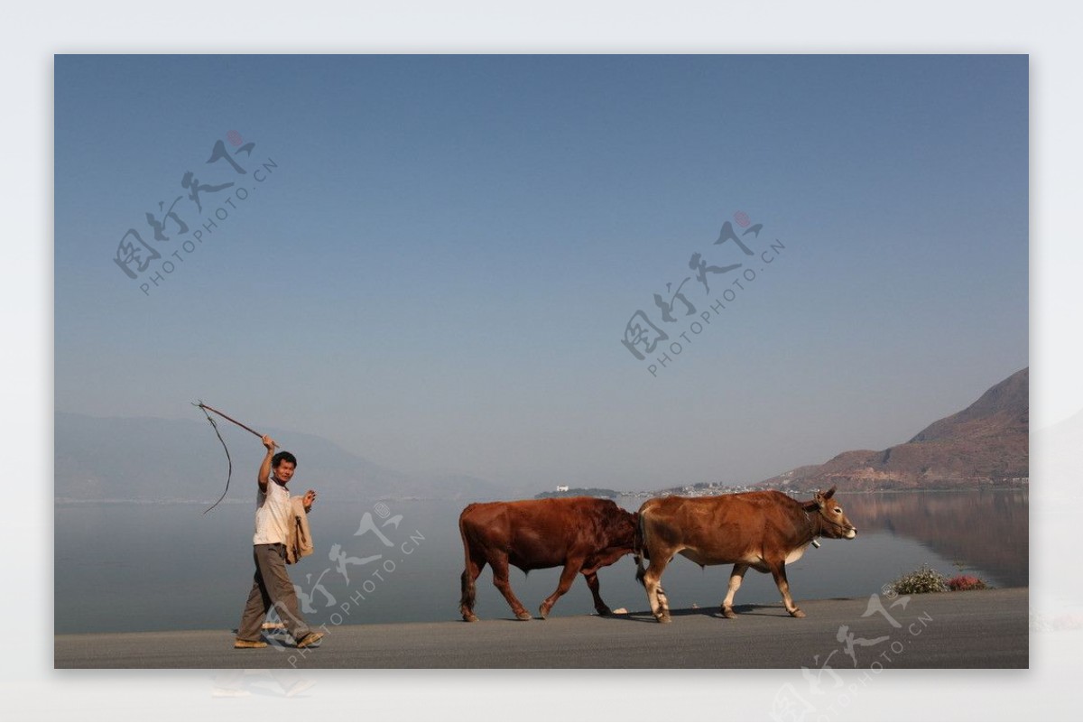 洱海景观图片