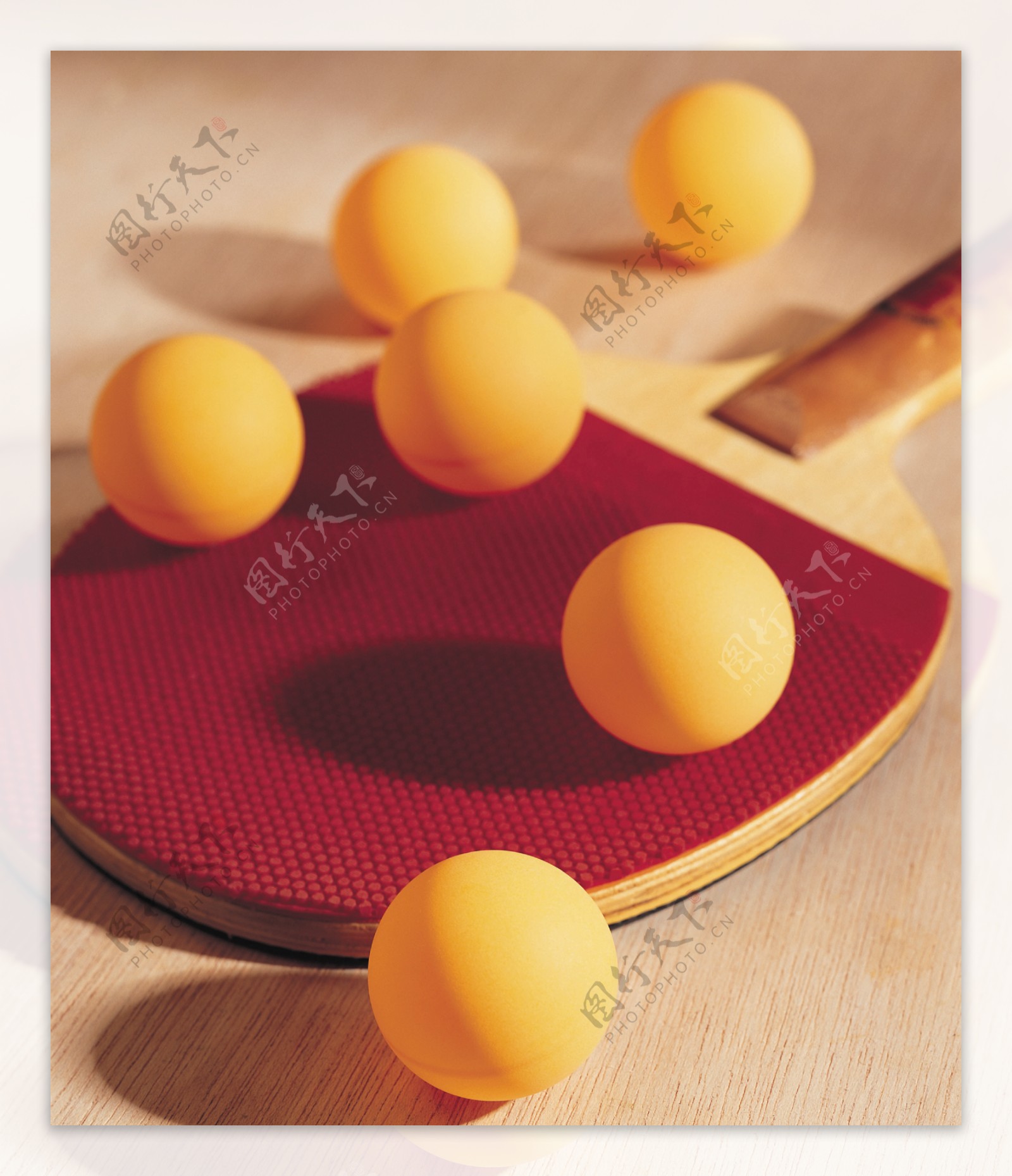 乒乓球图片