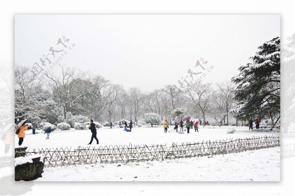 西湖雪景图片