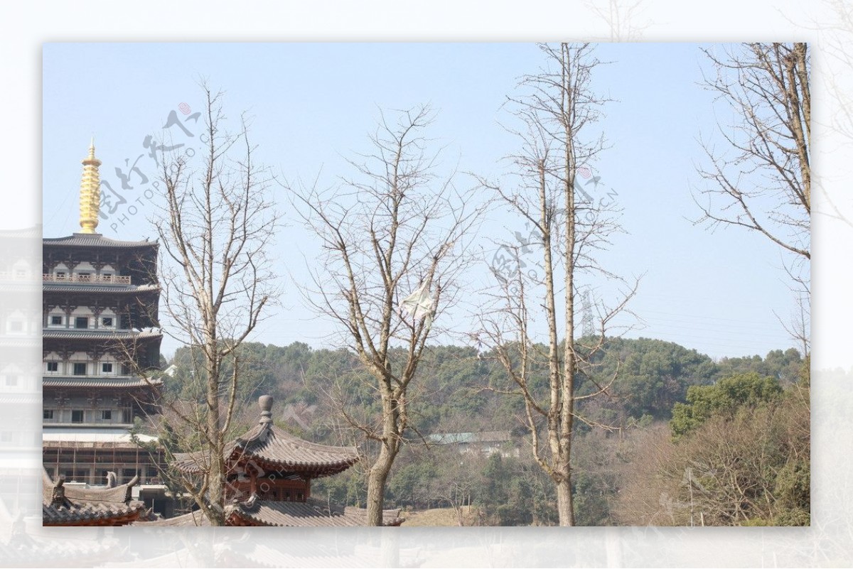 景山公园树木房子图片