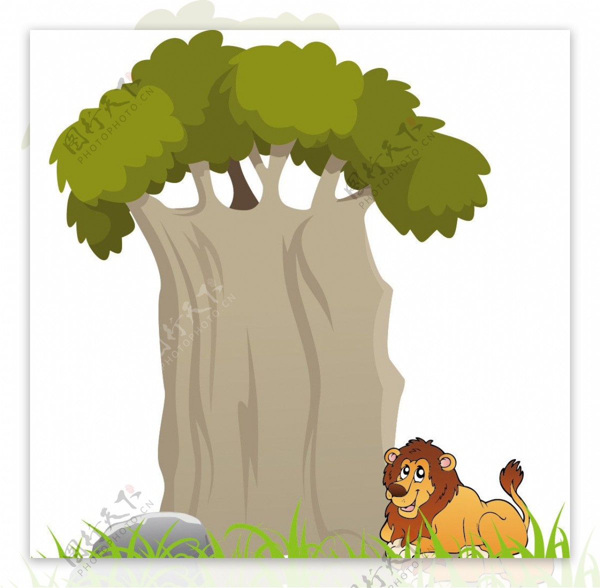 狮子树图片