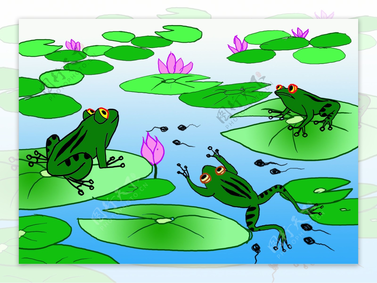 夏天的池塘|插画|商业插画|WQqian - 原创作品 - 站酷 (ZCOOL)