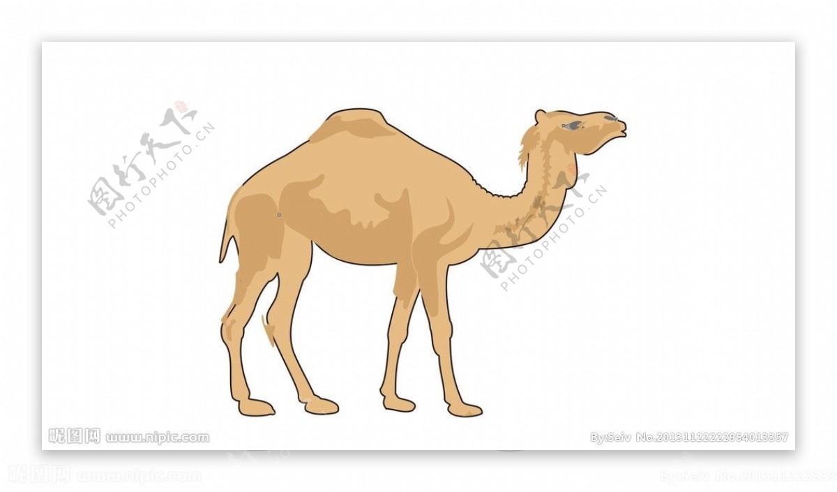 骆驼矢量图图片