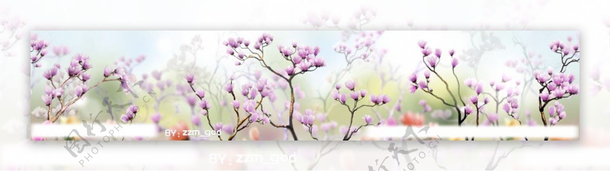 桃花背景素材图片