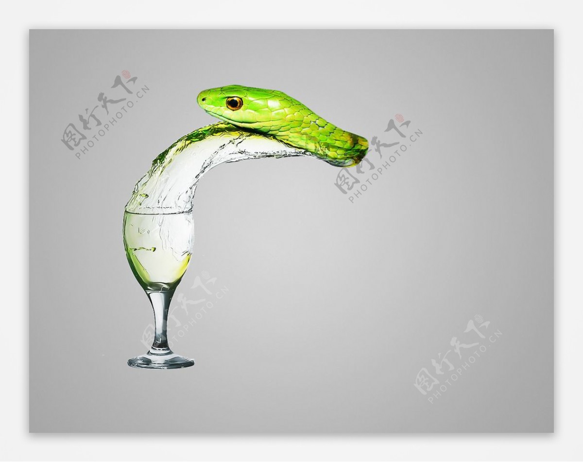 杯子和蛇的同构图片