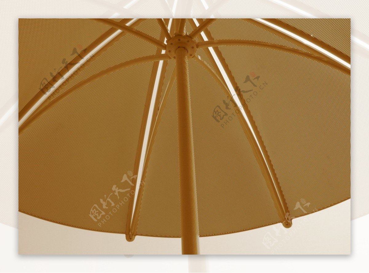 太阳伞特写图片