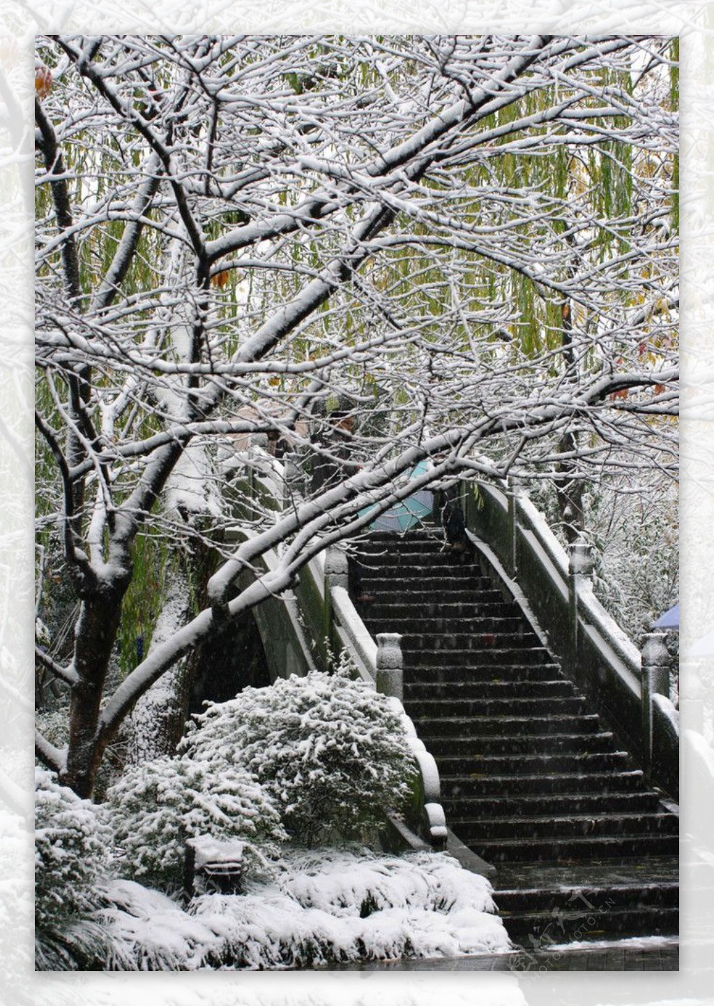 杭州西湖雪景图片