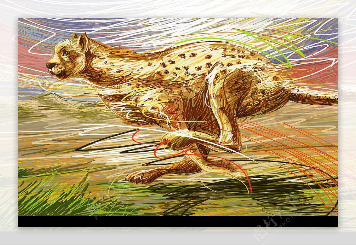 奔跑的豹图片