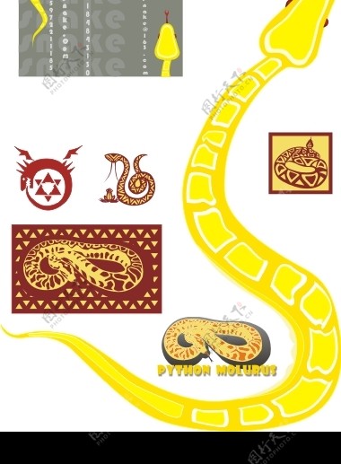 snake蛇矢量图图片