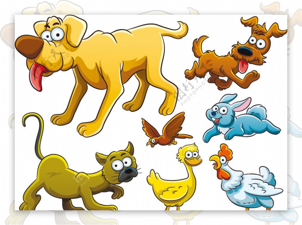卡通家禽动物表情矢量图片