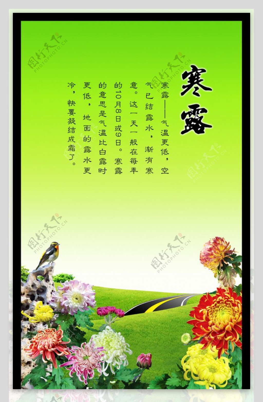 秋菊风景模板设计图片