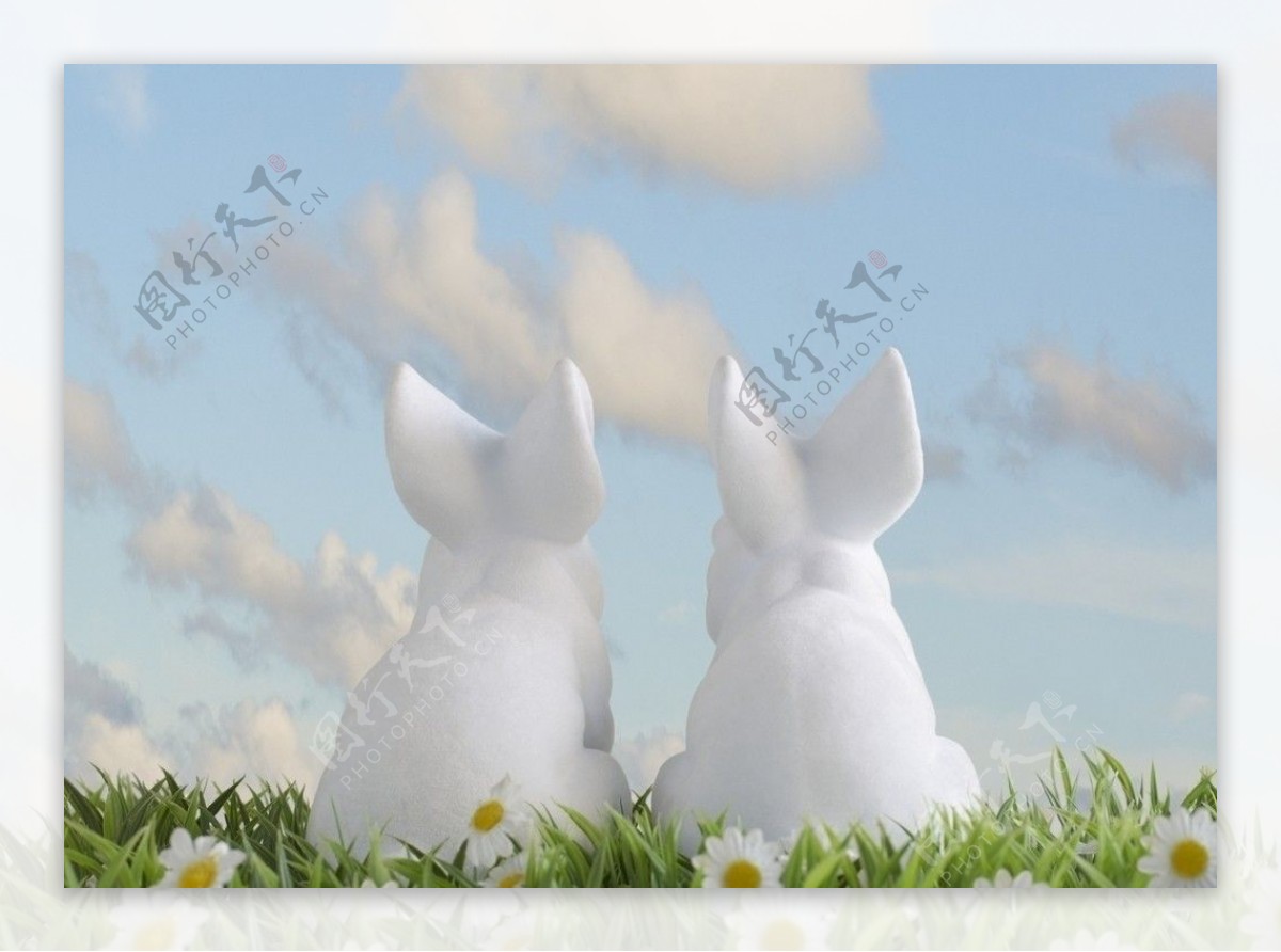 2只小白兔图片