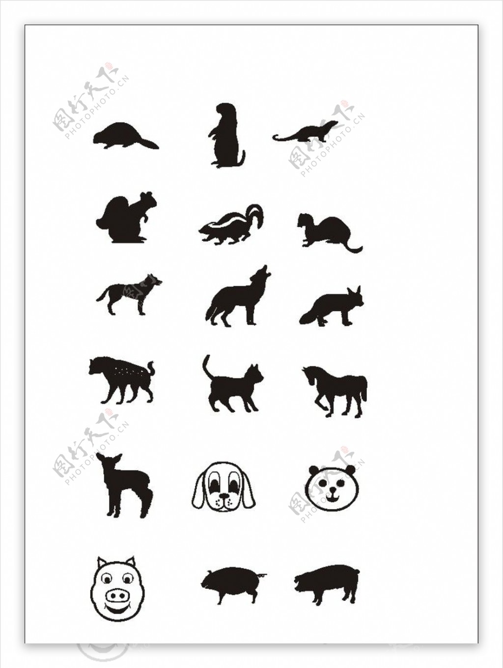 图片素材 : 野生动物, 哺乳动物, 动物群, 红熊猫, 脊椎动物, pro科 4000x3000 - - 95595 - 素材中国, 高清 ...