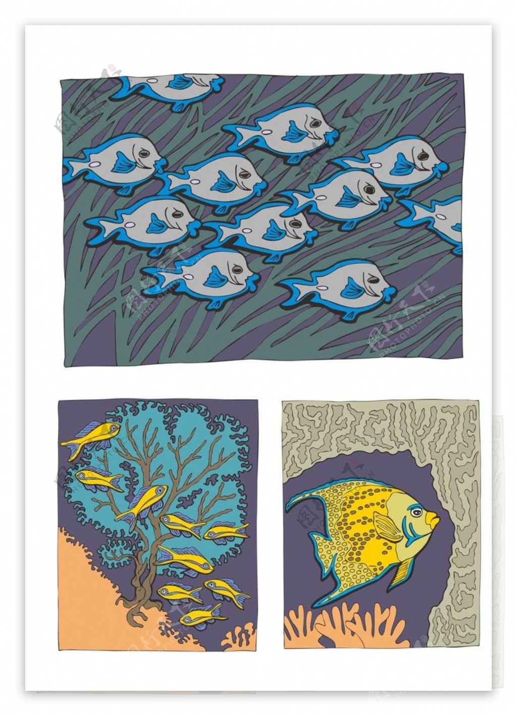 鱼类插画图片