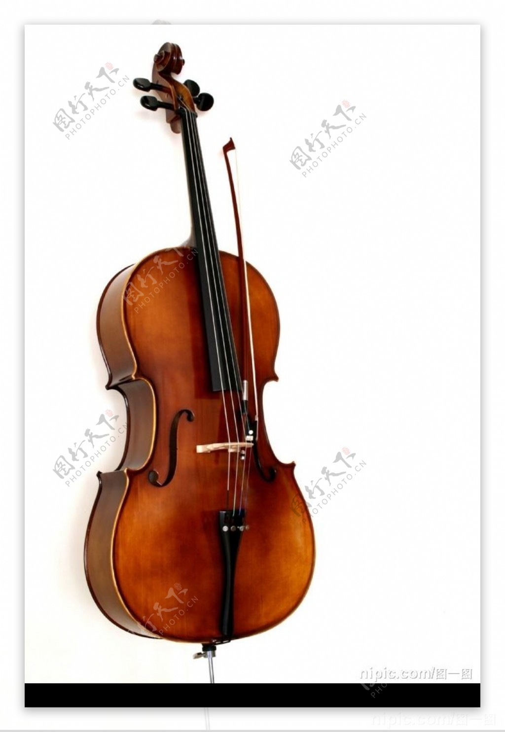 大提琴图片