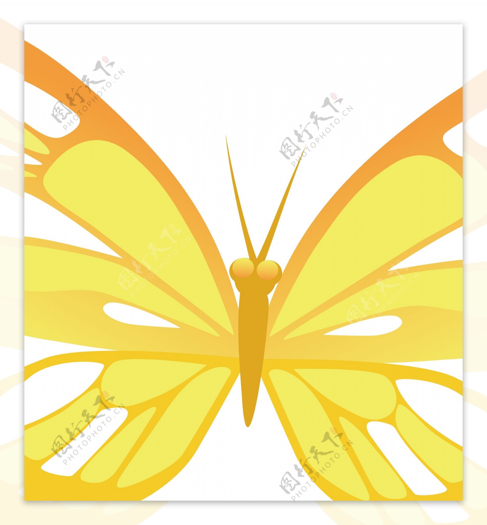 矢量黄色蝴蝶图片