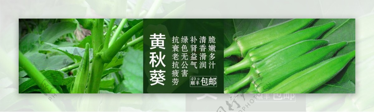 蔬菜秋葵海报图片