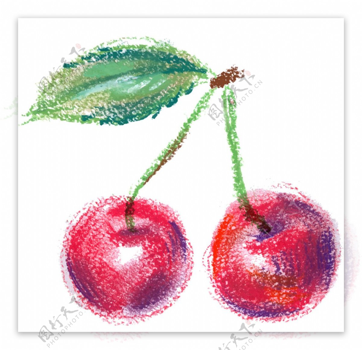 红樱桃彩绘矢量素材图片