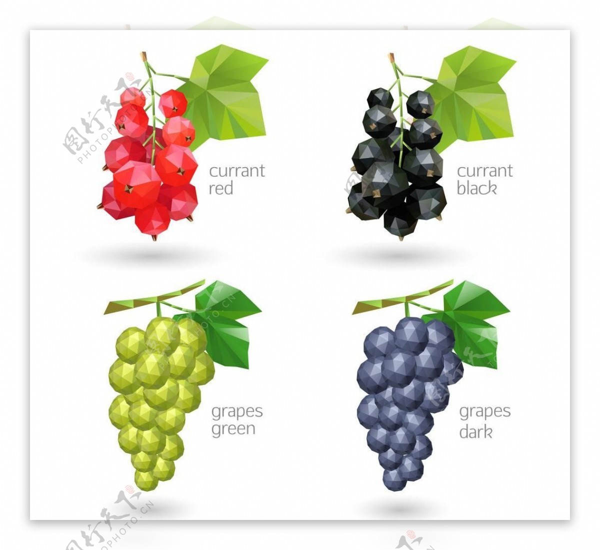 水果葡萄手绘葡萄图片