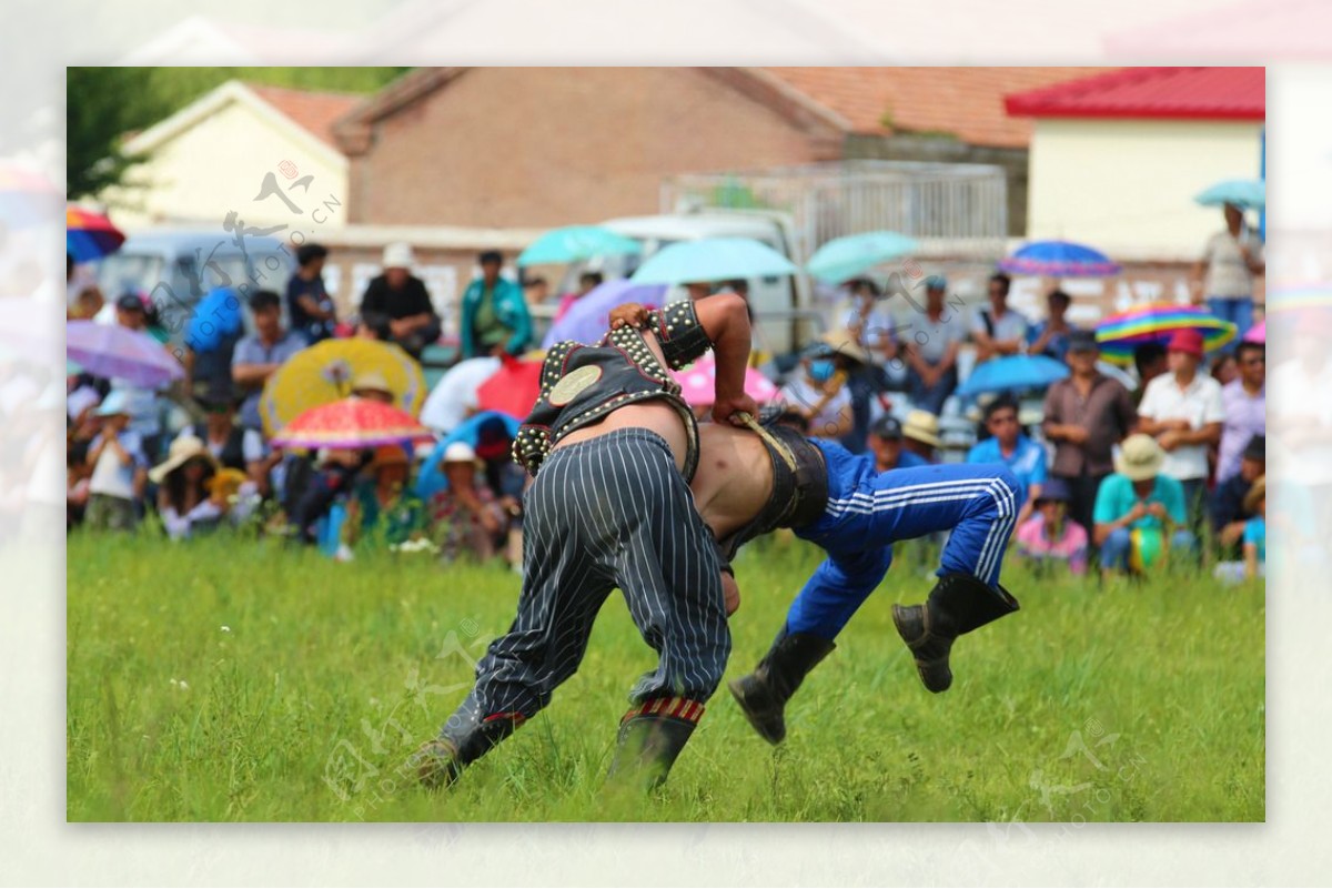 蒙古摔跤图片