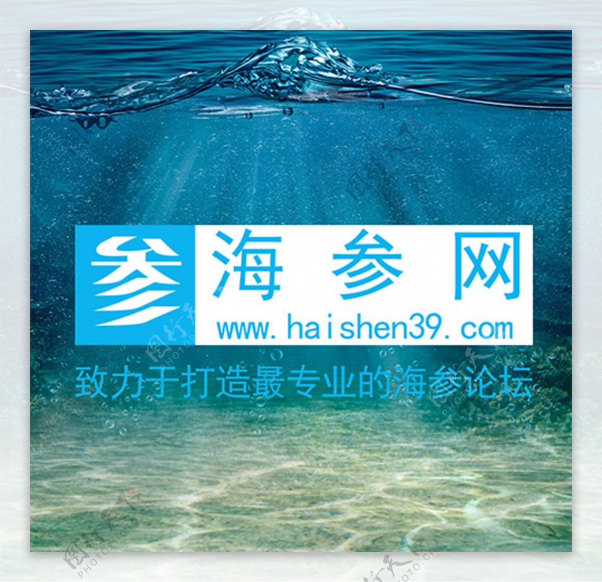 海参网logo图片